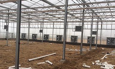 大棚風機糖心视频污污污
